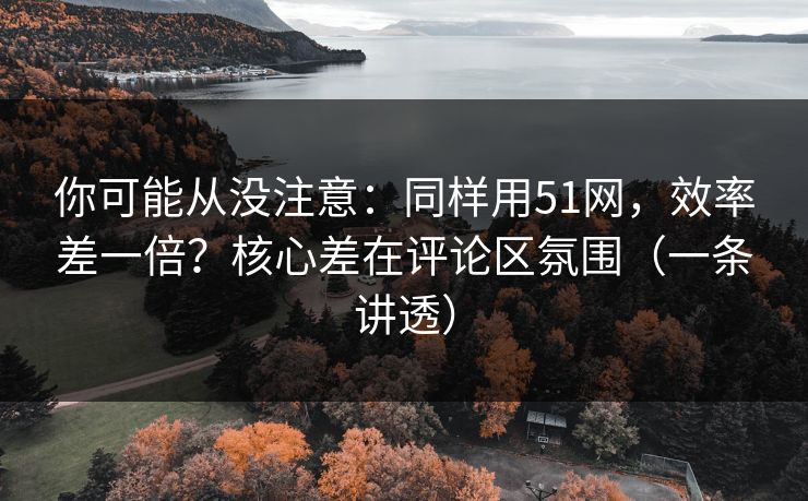 你可能从没注意：同样用51网，效率差一倍？核心差在评论区氛围（一条讲透）